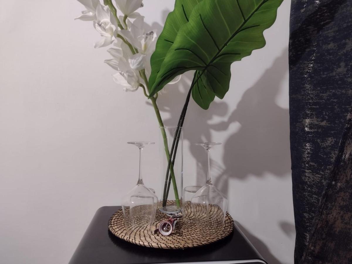 Vatican Luxury Apartment Ρώμη Εξωτερικό φωτογραφία